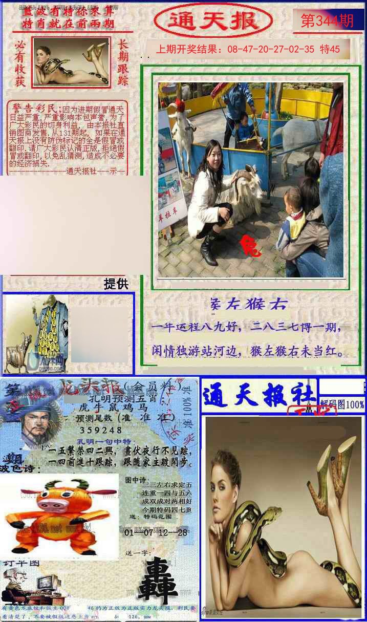 2024344期实力通天报
