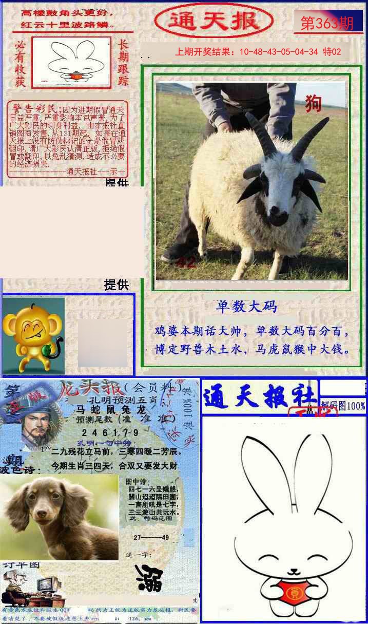 2024363期实力通天报