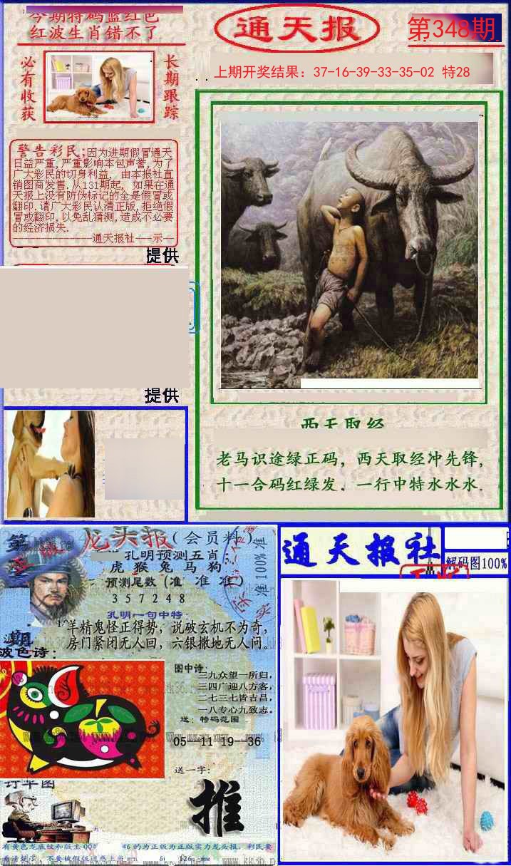 2024348期实力通天报