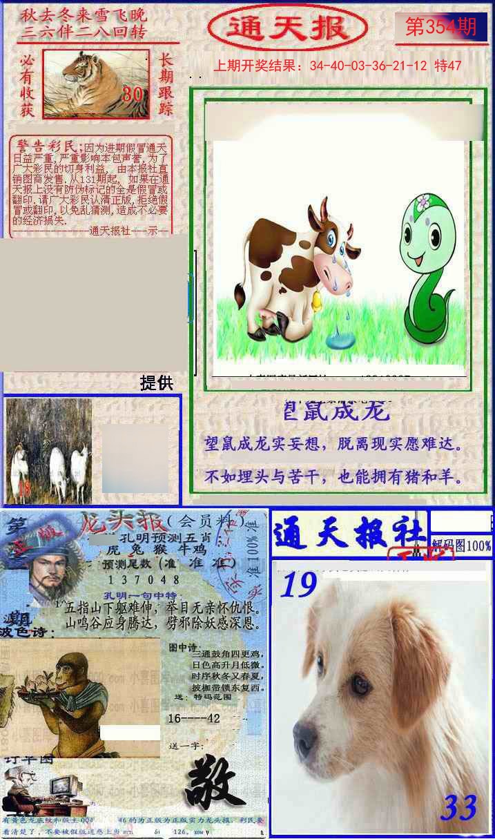 2024354期实力通天报
