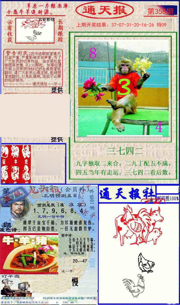 2024358期实力通天报