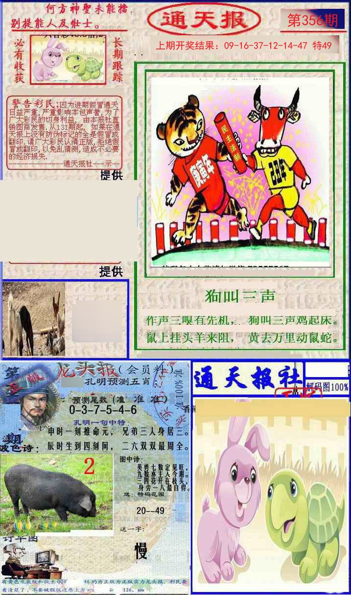2024356期实力通天报
