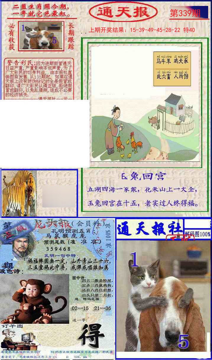 2024339期实力通天报