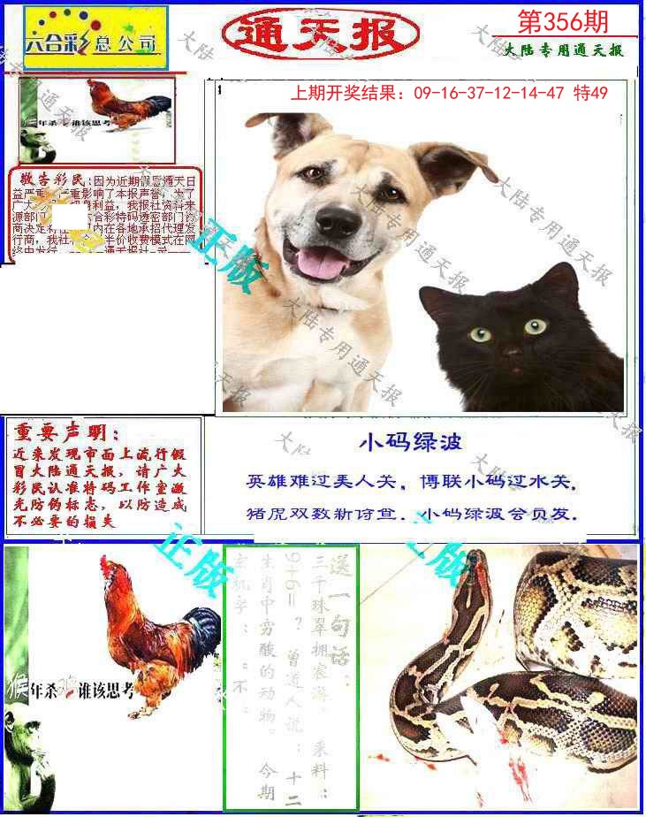 2024356期大陆通天报