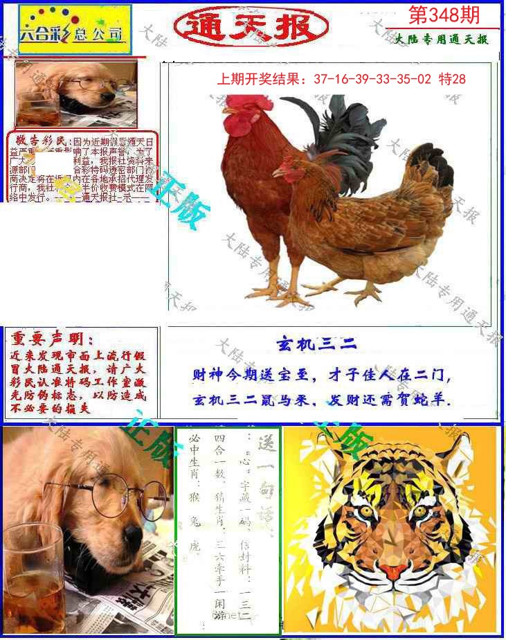 2024348期大陆通天报