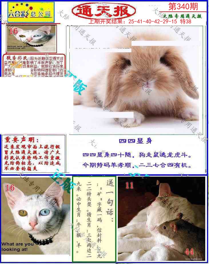 2024340期大陆通天报