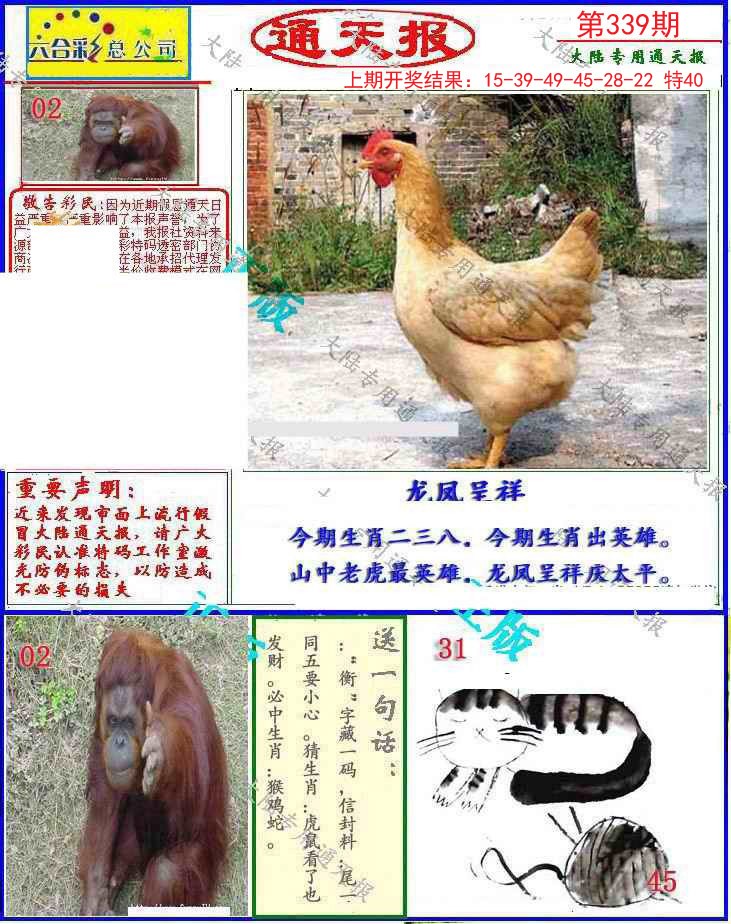 2024339期大陆通天报