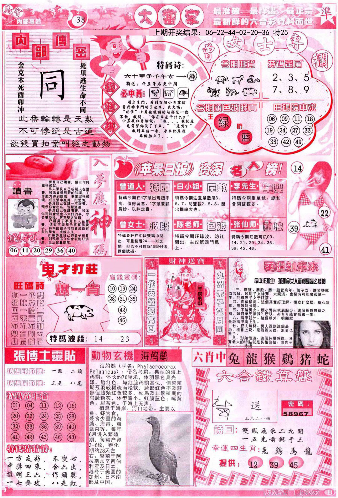 2024355期彩卷后庄B