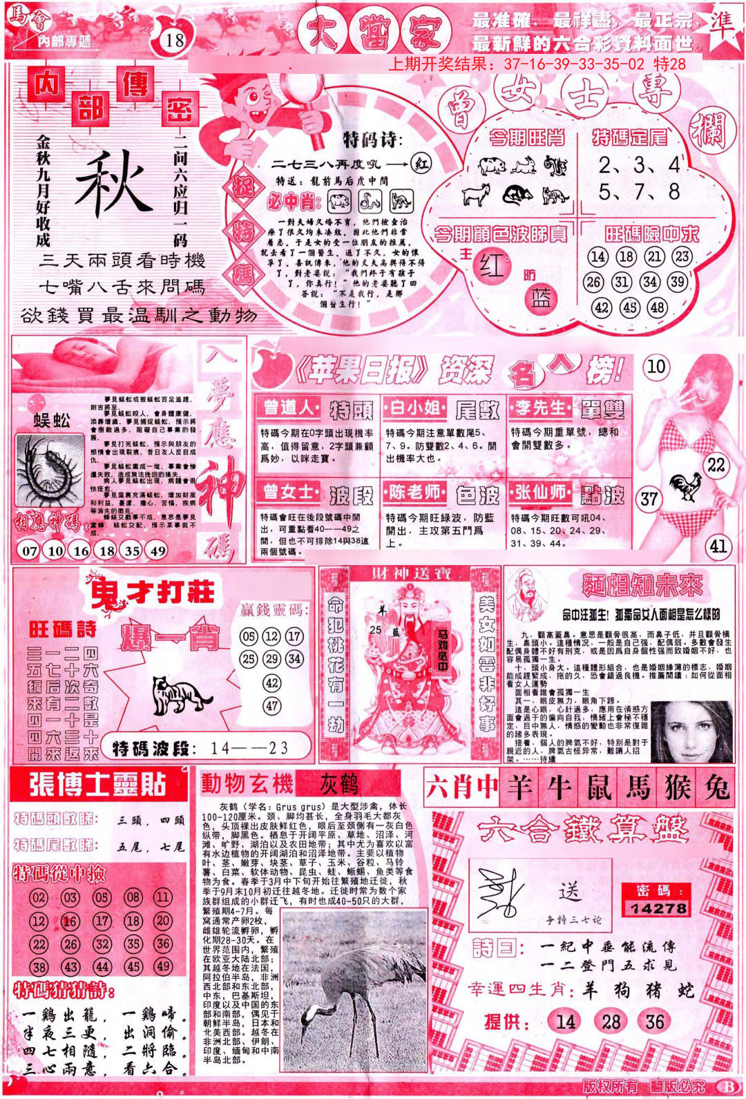 2024348期彩卷后庄B