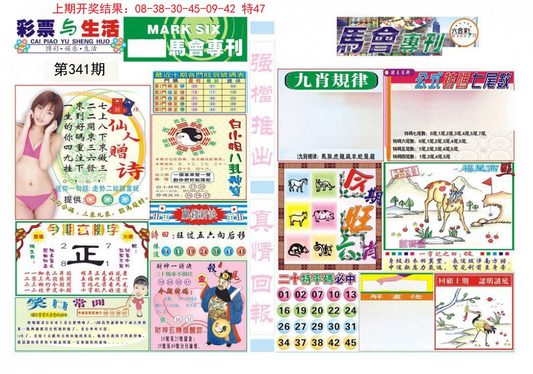 2024341期马会专刊A