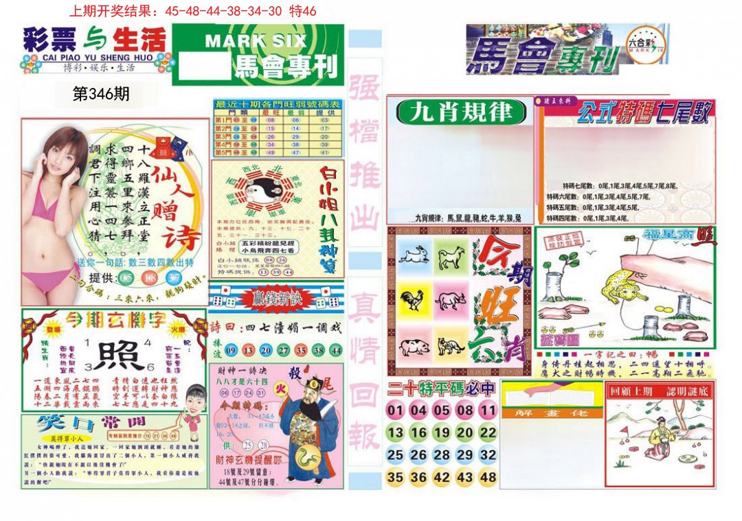 2024346期马会专刊A