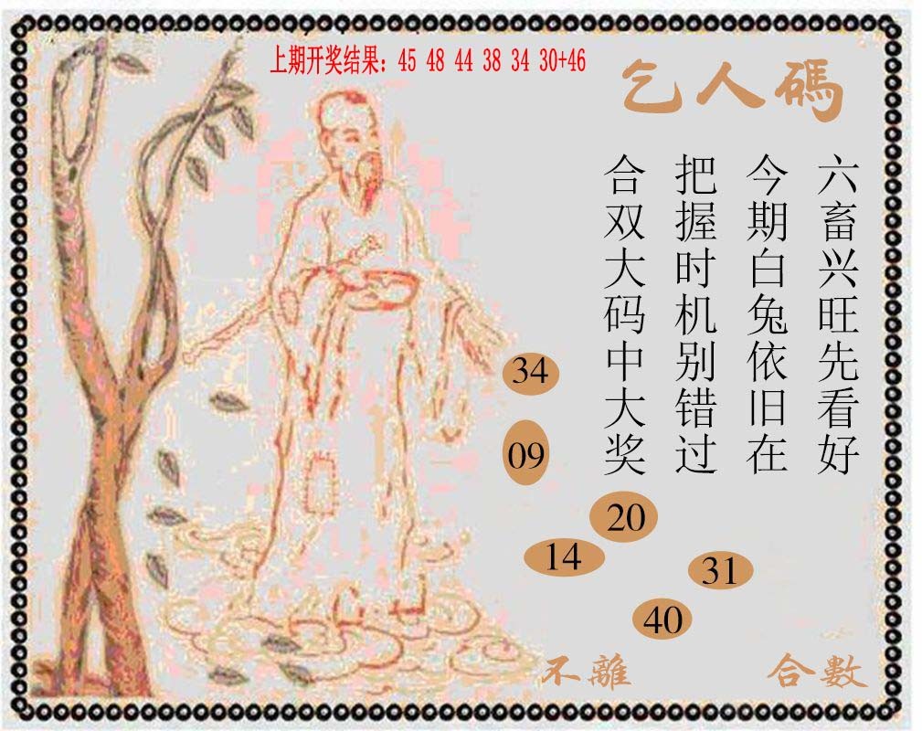 2024346期牛派系列9