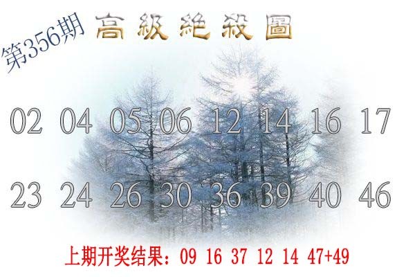 2024356期高级内部绝杀