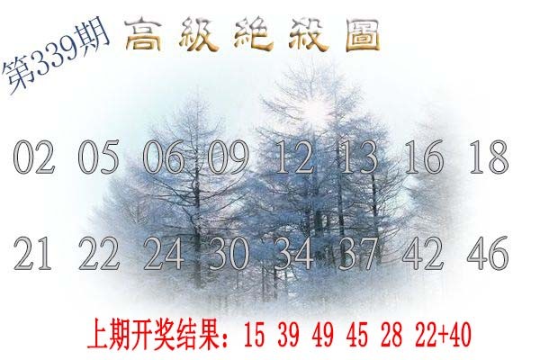 2024339期高级内部绝杀