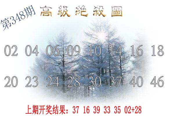 2024348期高级内部绝杀