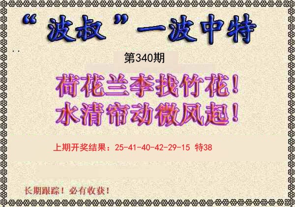 2024340期波叔一波中特