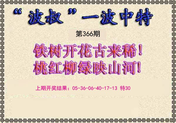 2024366期波叔一波中特