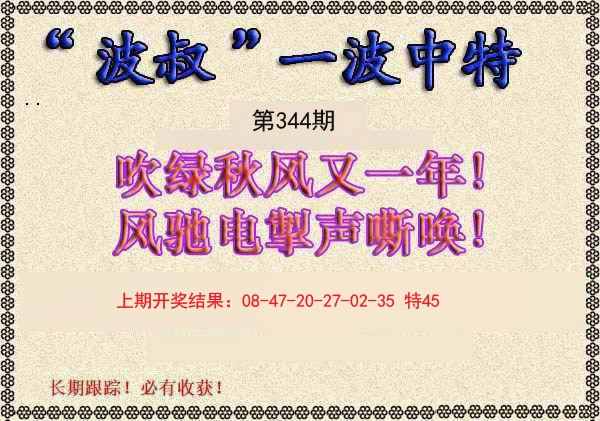 2024344期波叔一波中特