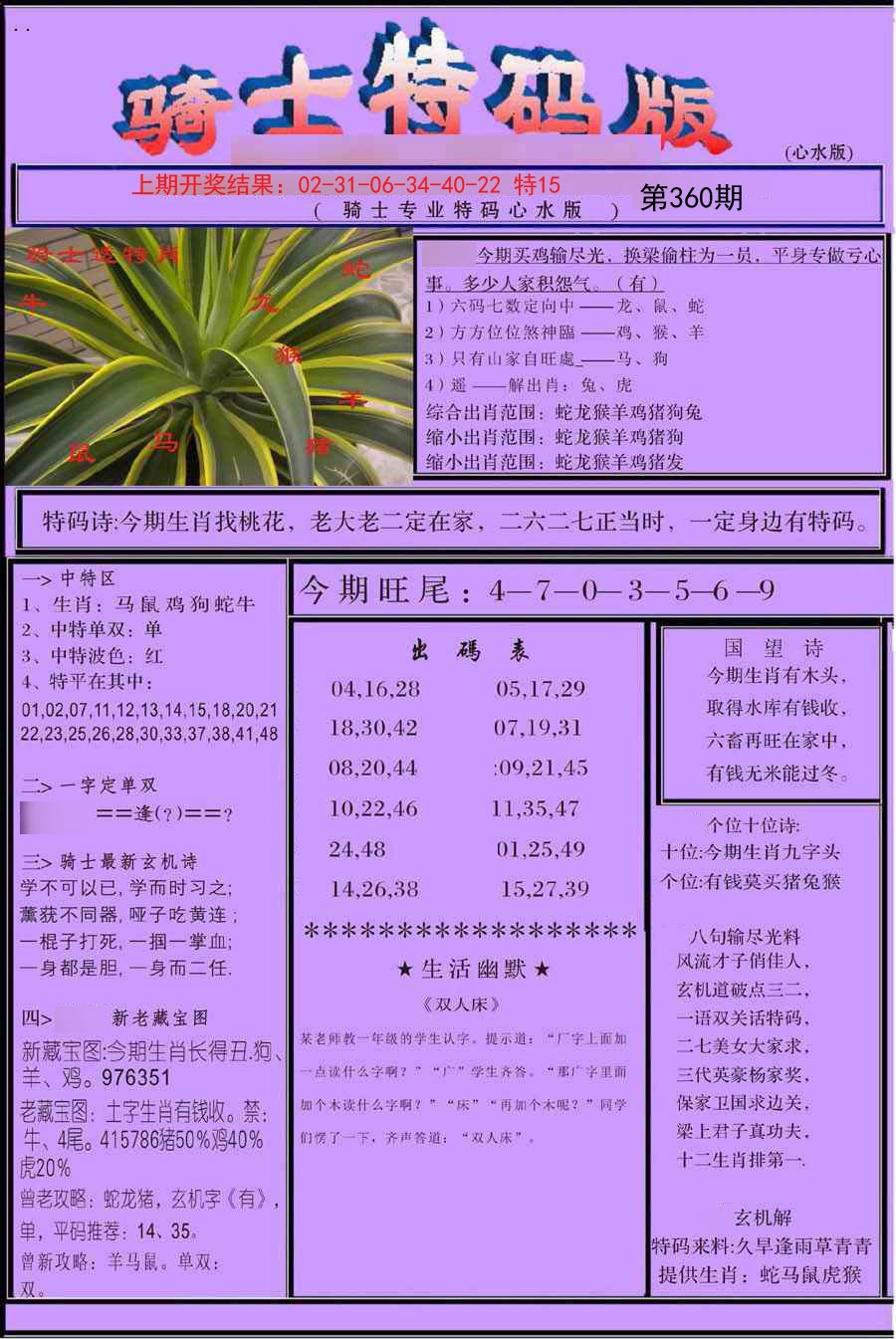 2024360期骑士特码版