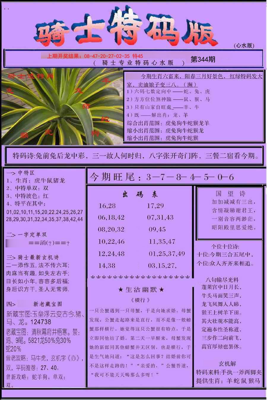 2024344期骑士特码版