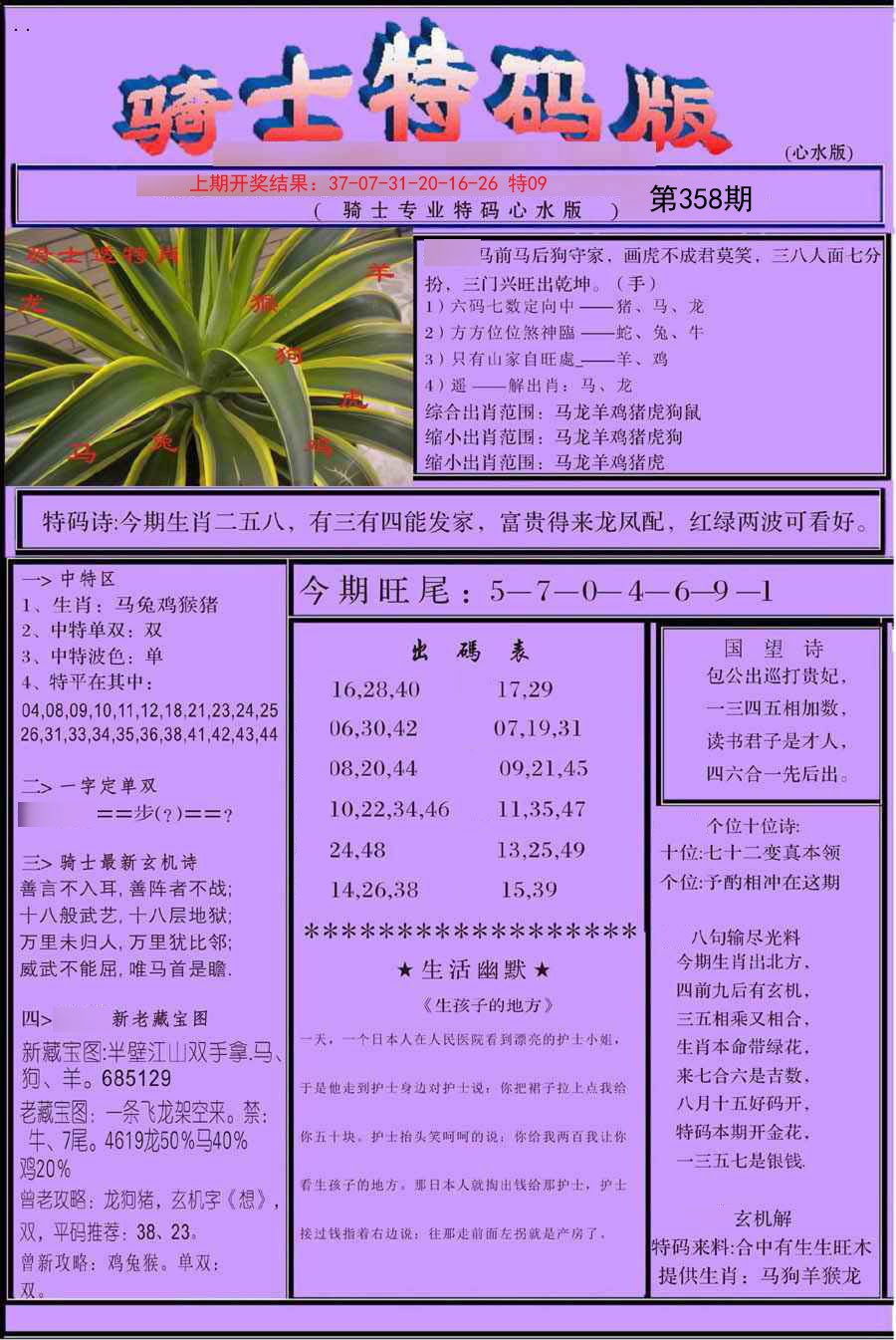 2024358期骑士特码版