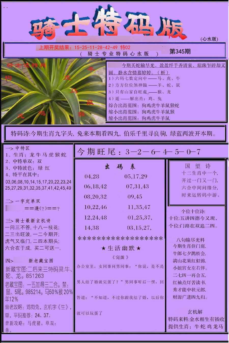 2024345期骑士特码版
