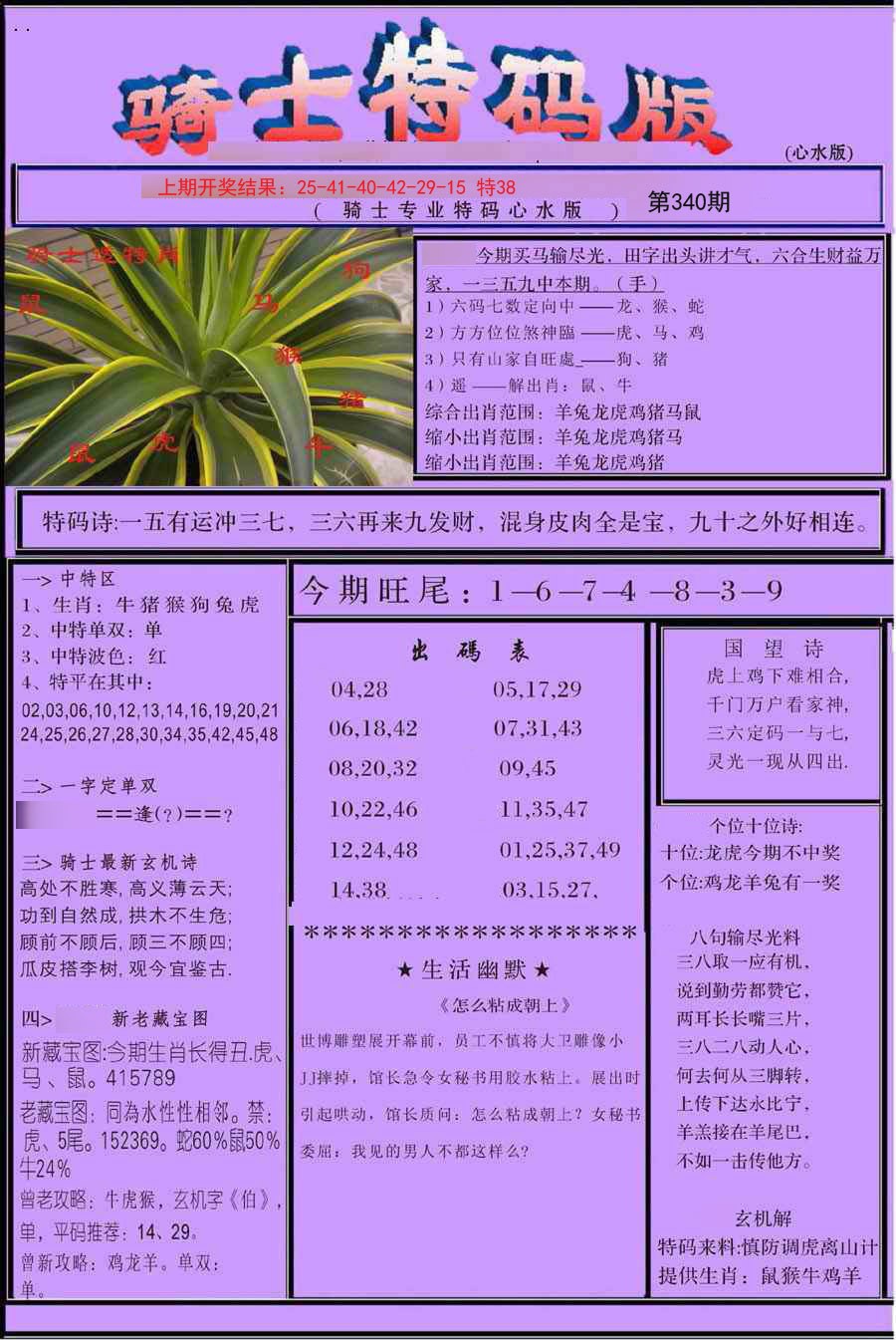 2024340期骑士特码版