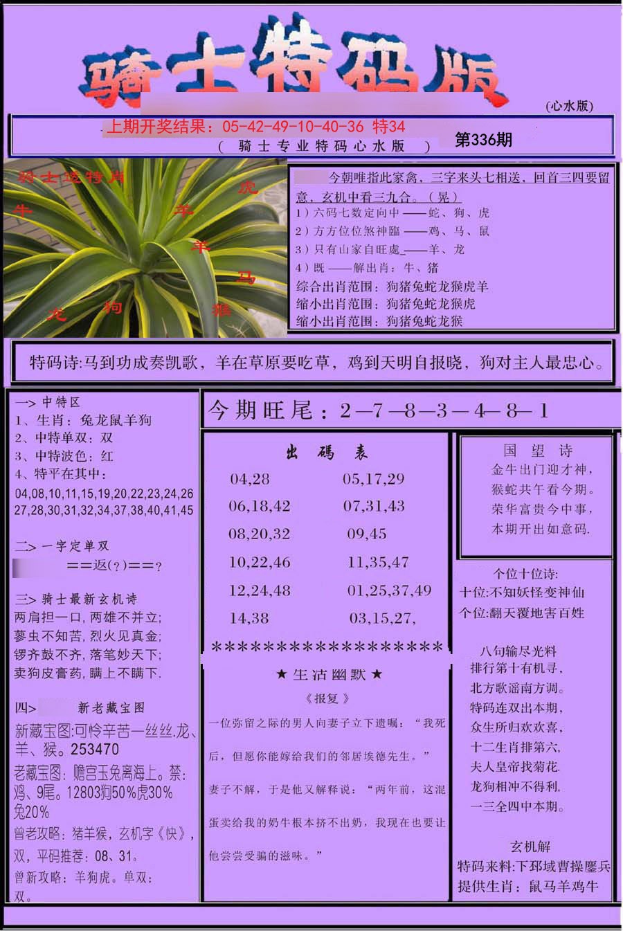2024336期骑士特码版