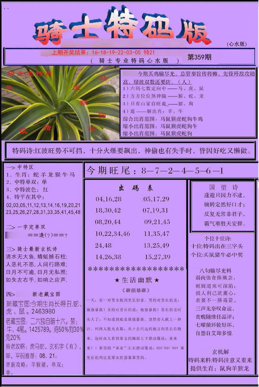 2024359期骑士特码版