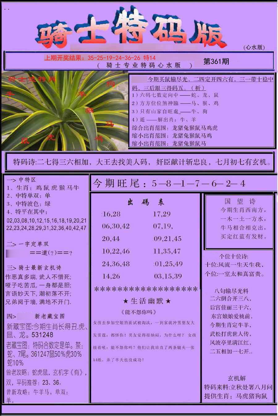 2024361期骑士特码版