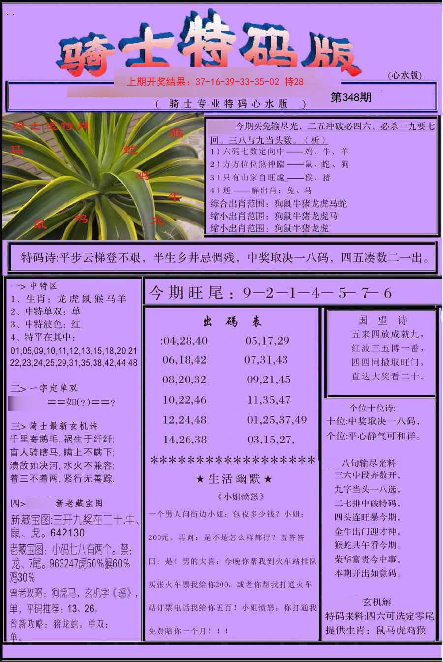 2024348期骑士特码版