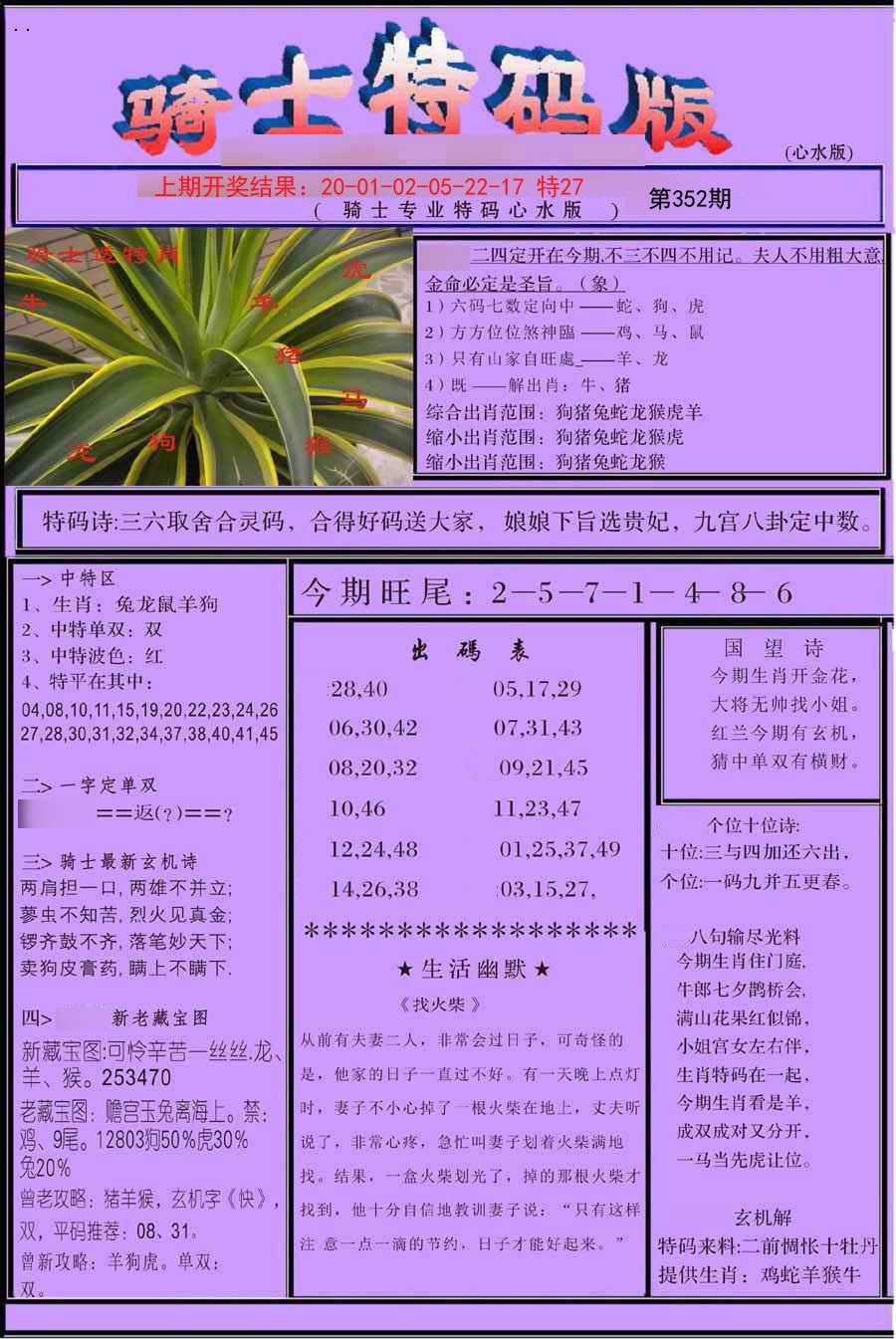 2024352期骑士特码版