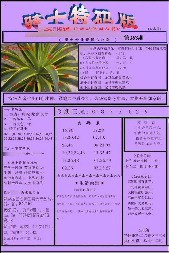 2024363期骑士特码版