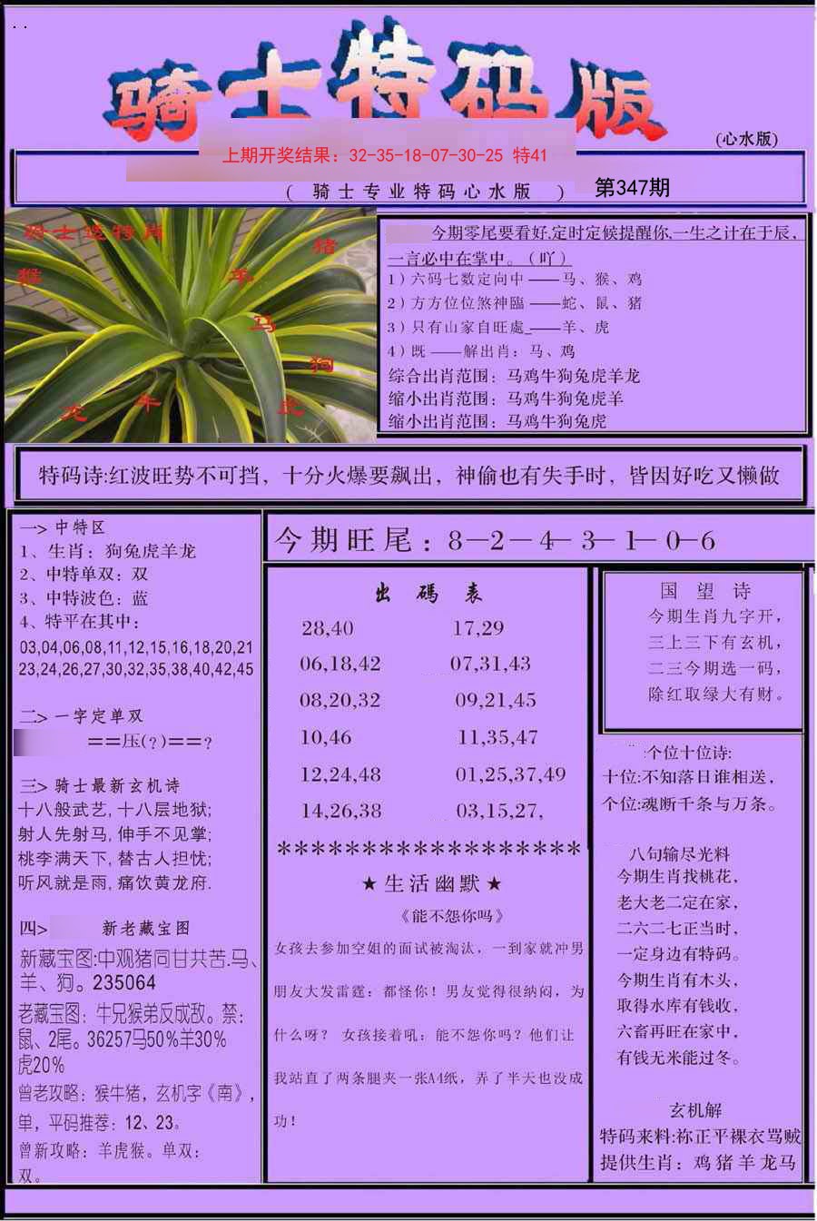 2024347期骑士特码版