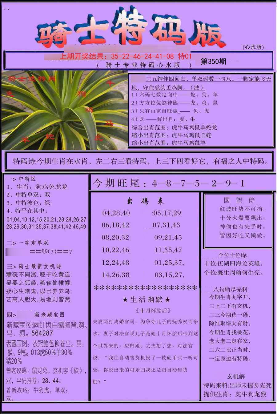 2024350期骑士特码版