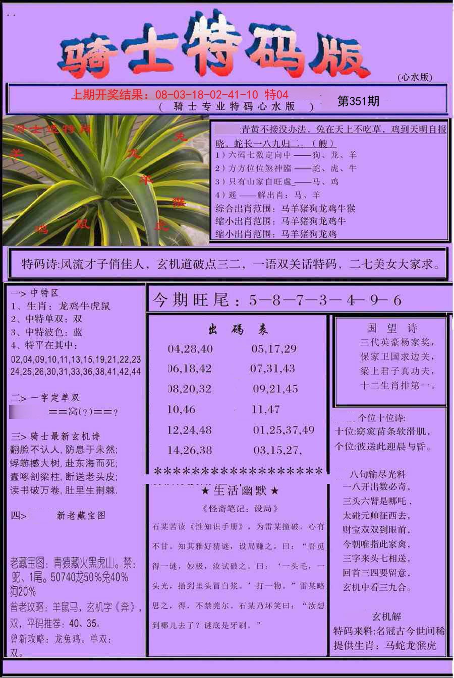 2024351期骑士特码版