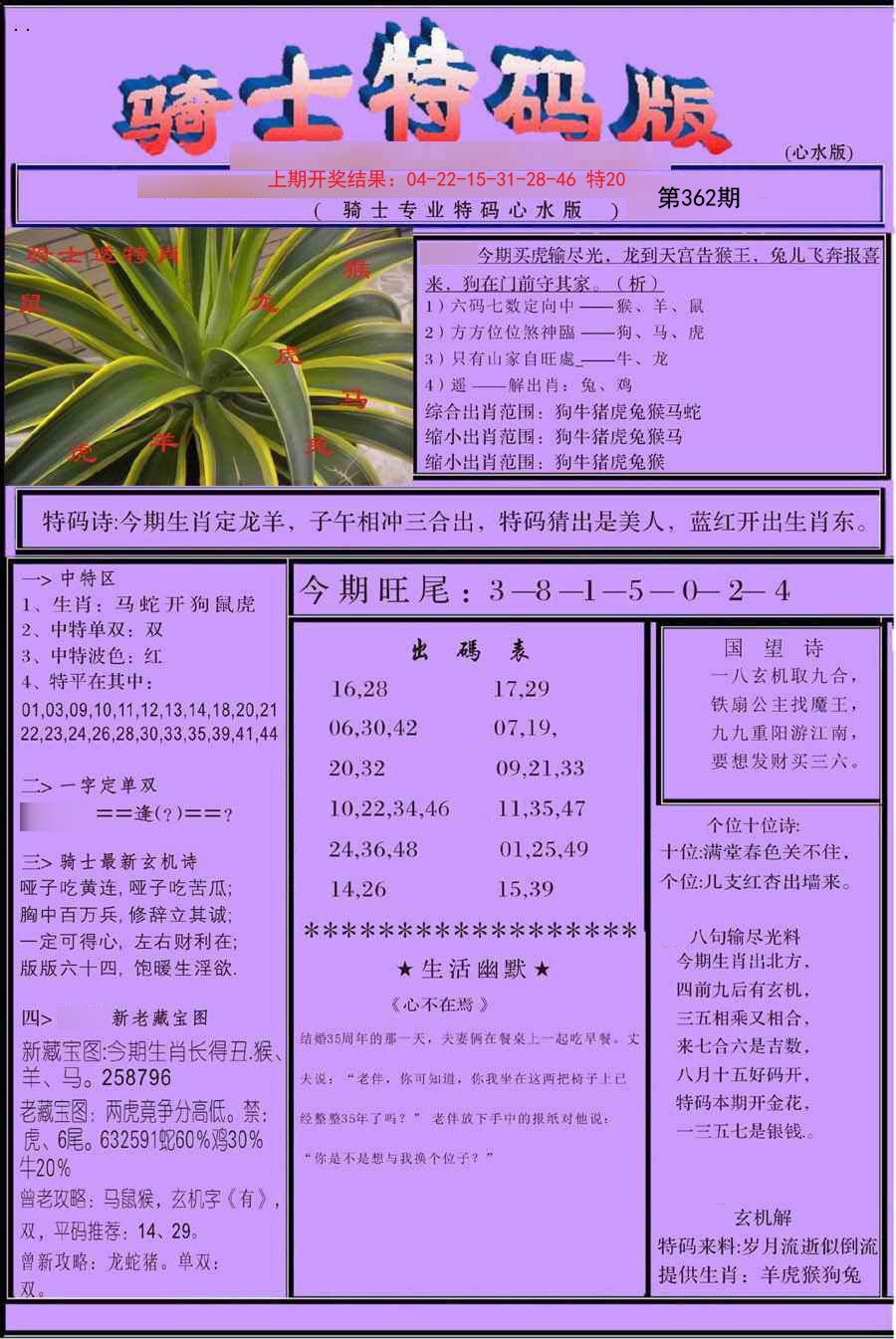 2024362期骑士特码版