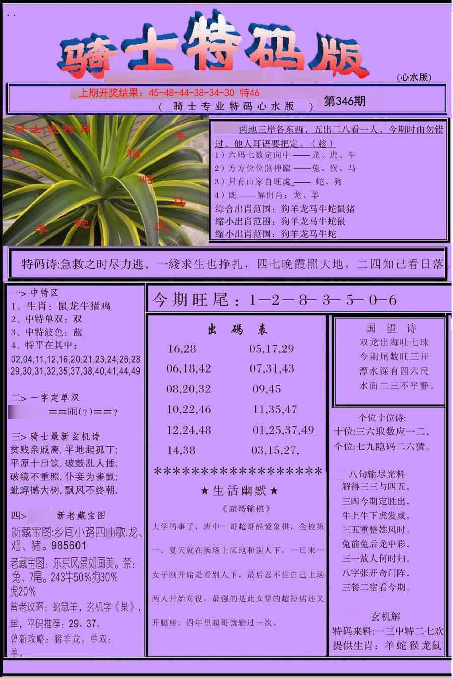 2024346期骑士特码版