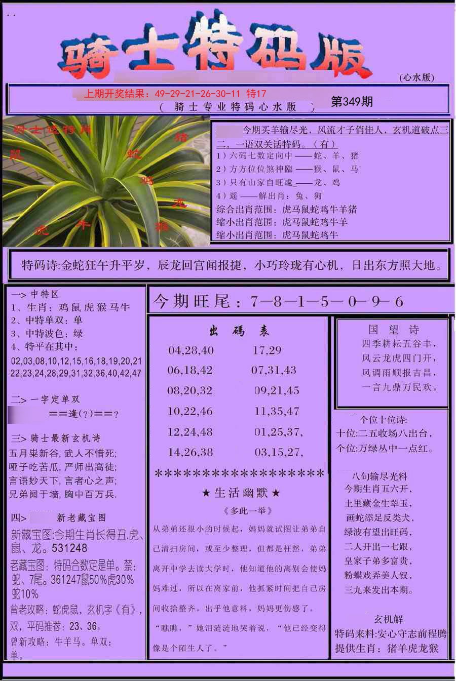 2024349期骑士特码版