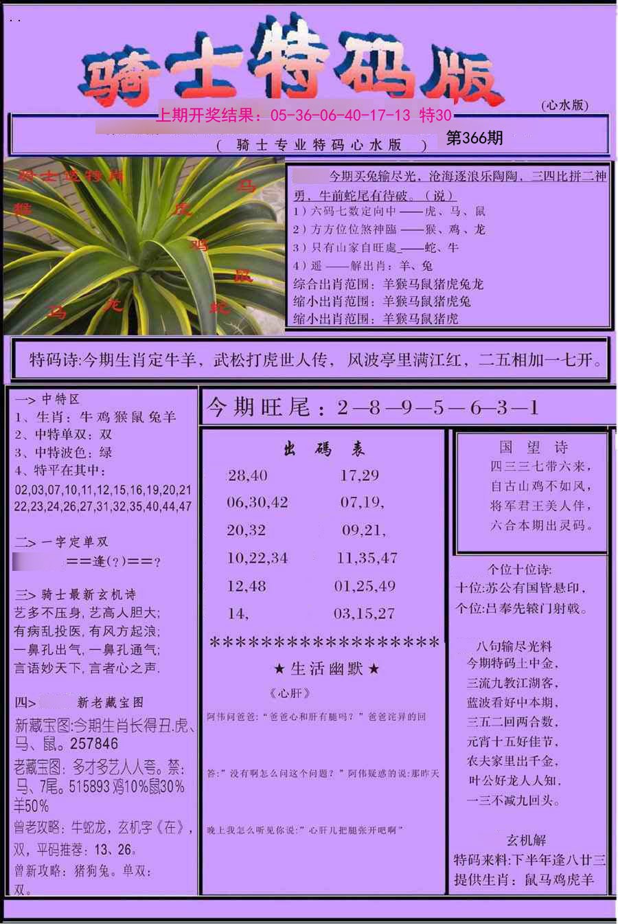 2024366期骑士特码版