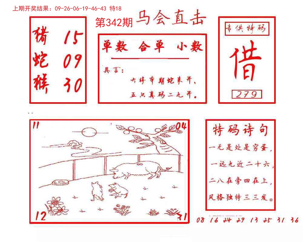 2024342期马会直击