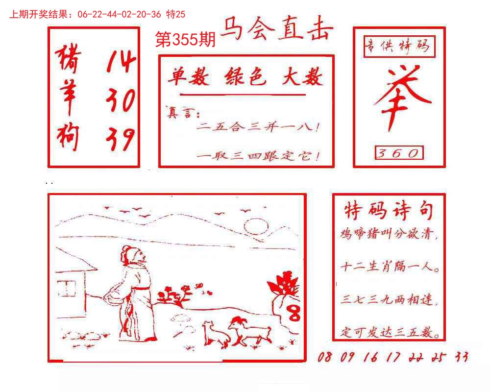2024355期马会直击
