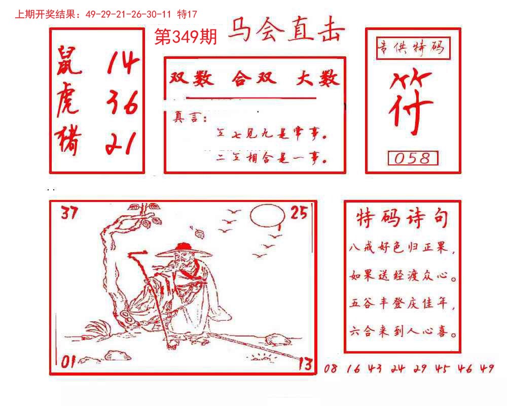 2024349期马会直击