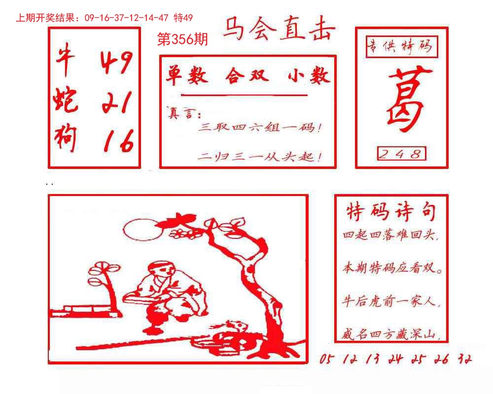 2024356期马会直击