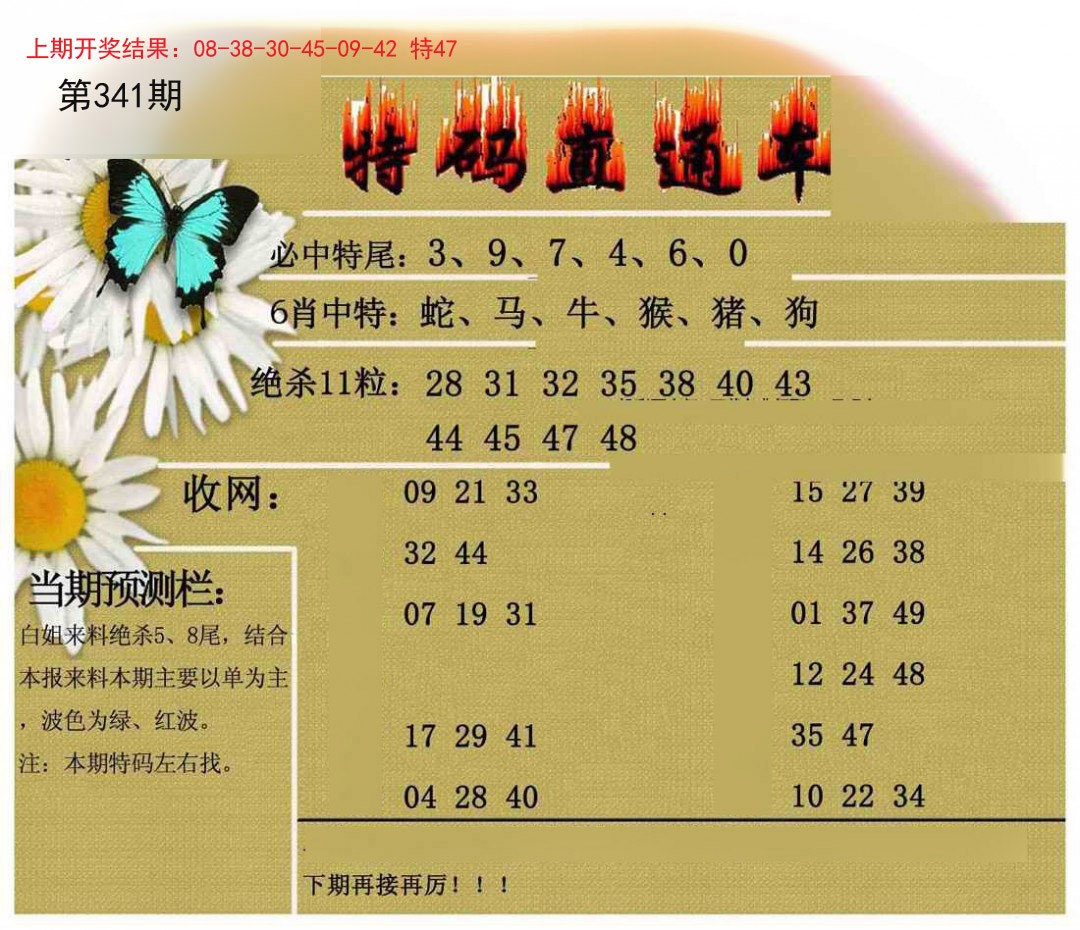 2024341期特码直通车