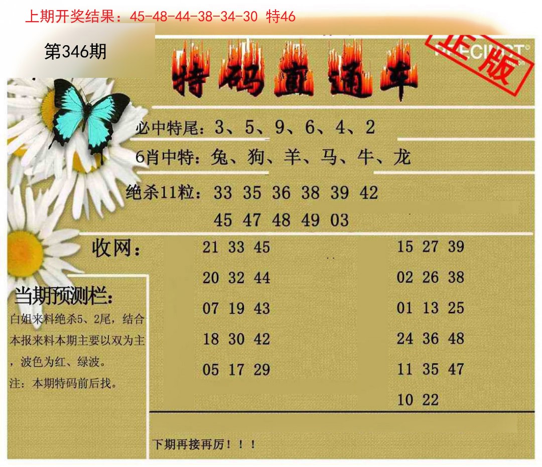 2024346期特码直通车