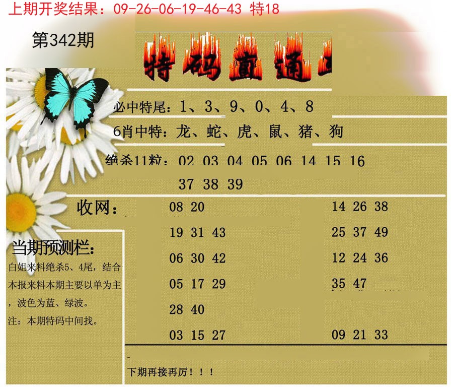 2024342期特码直通车