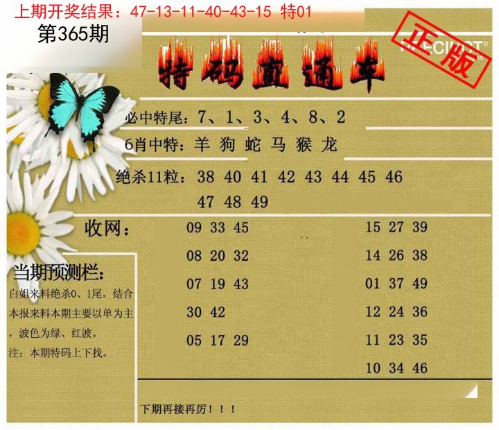 2024365期特码直通车