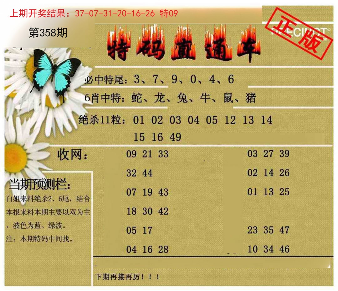 2024358期特码直通车