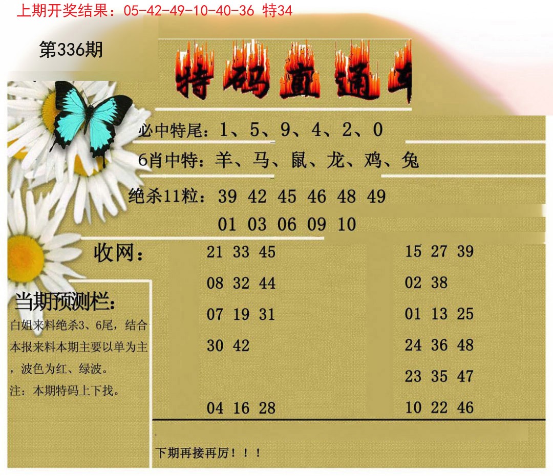 2024336期特码直通车